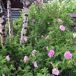 Laetasenonmajat * Enontekiö